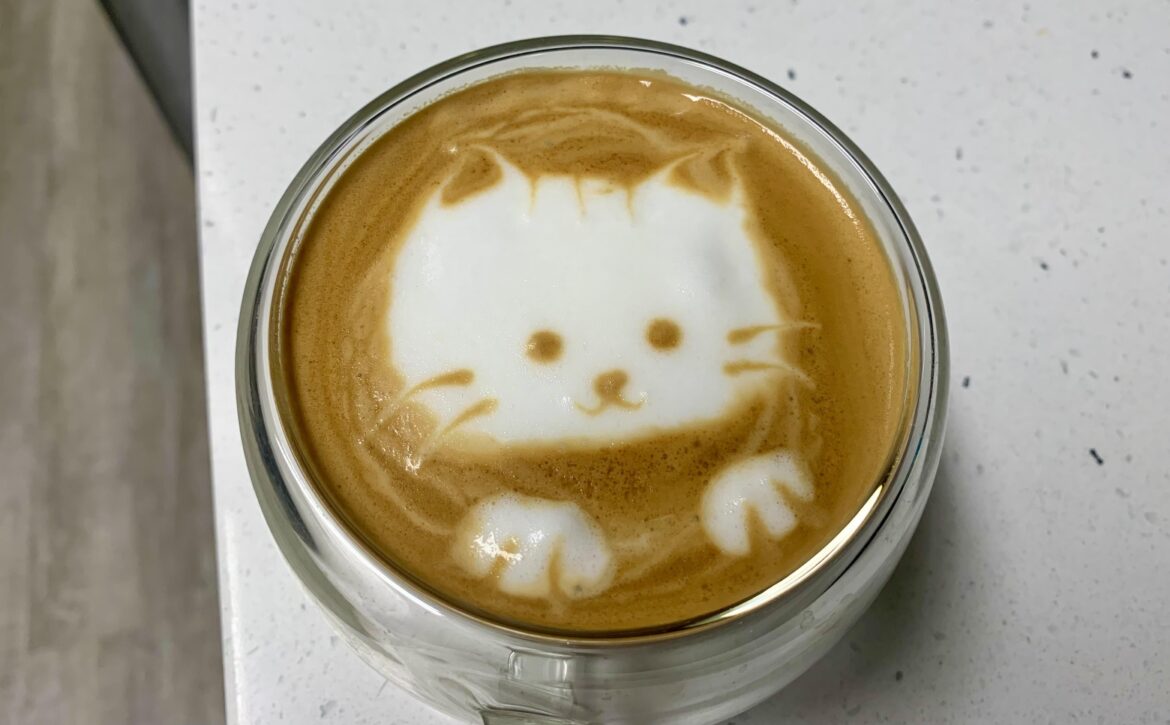 Good morning and happy Friday!