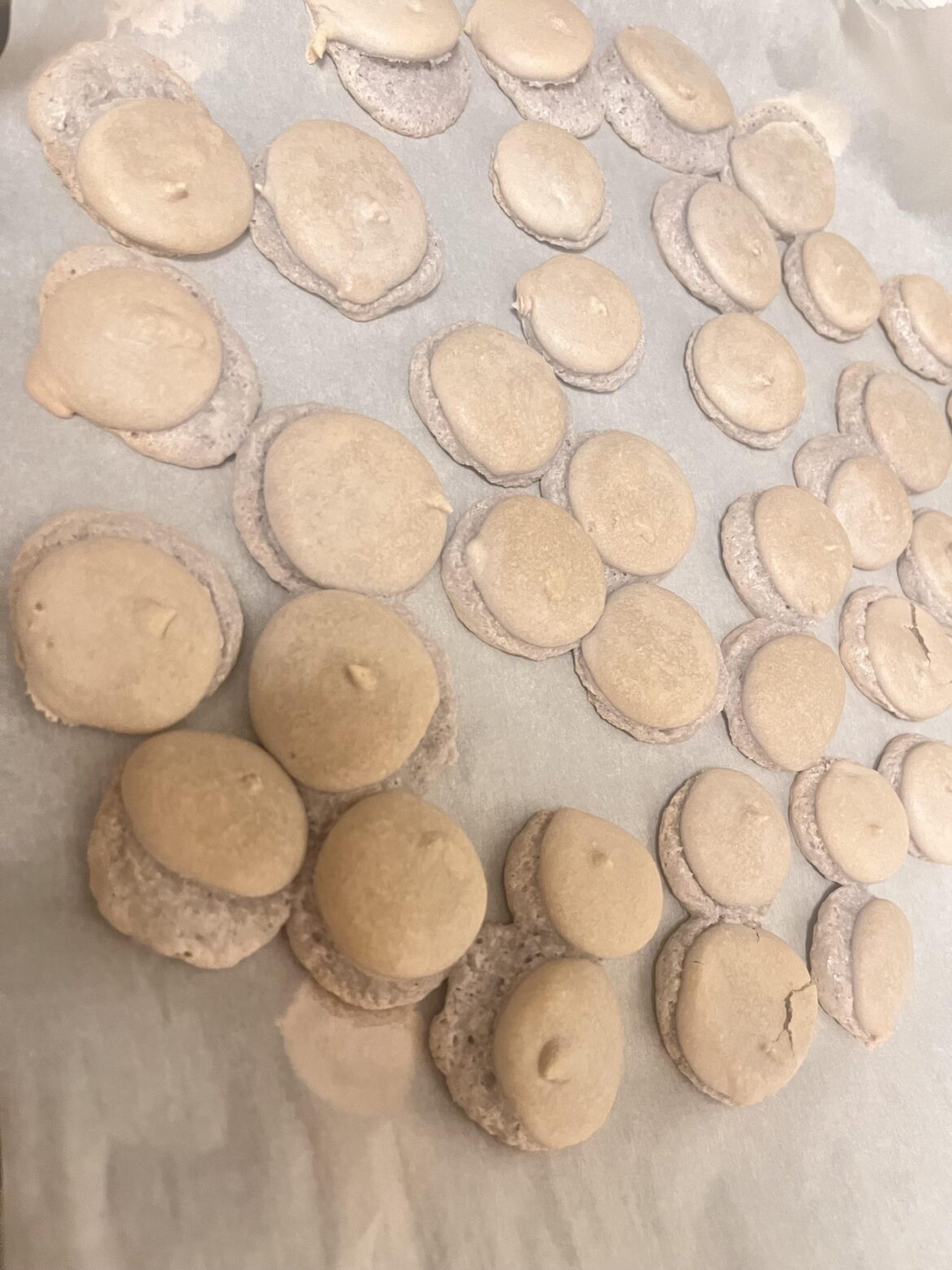 First time it went wrong, can someone tell me what happened? My