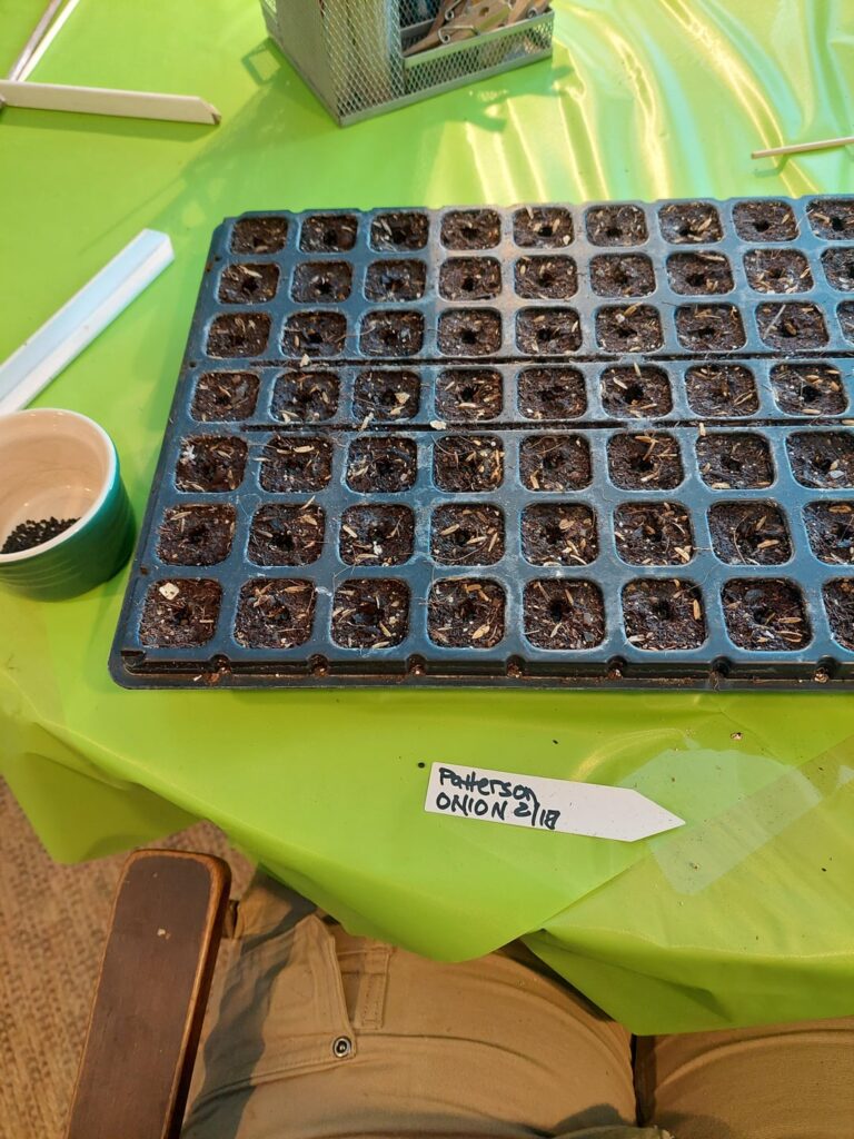 Onion season is here baby