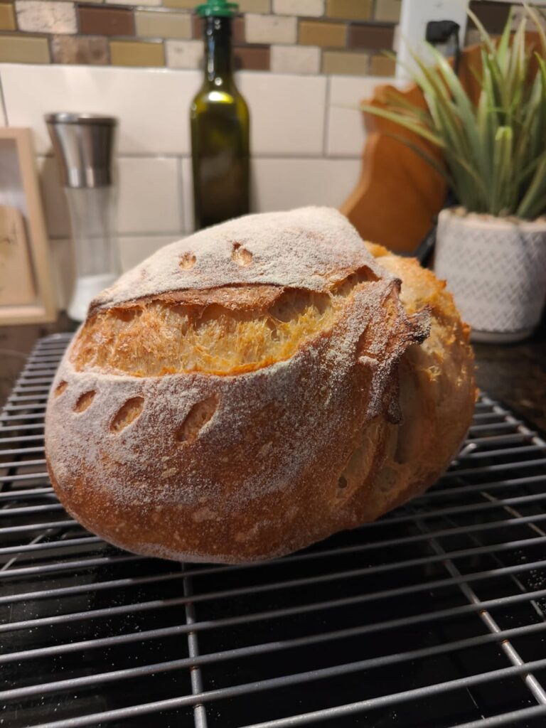 UPDATE - My Wife Took Her First Shot at Sourdough...