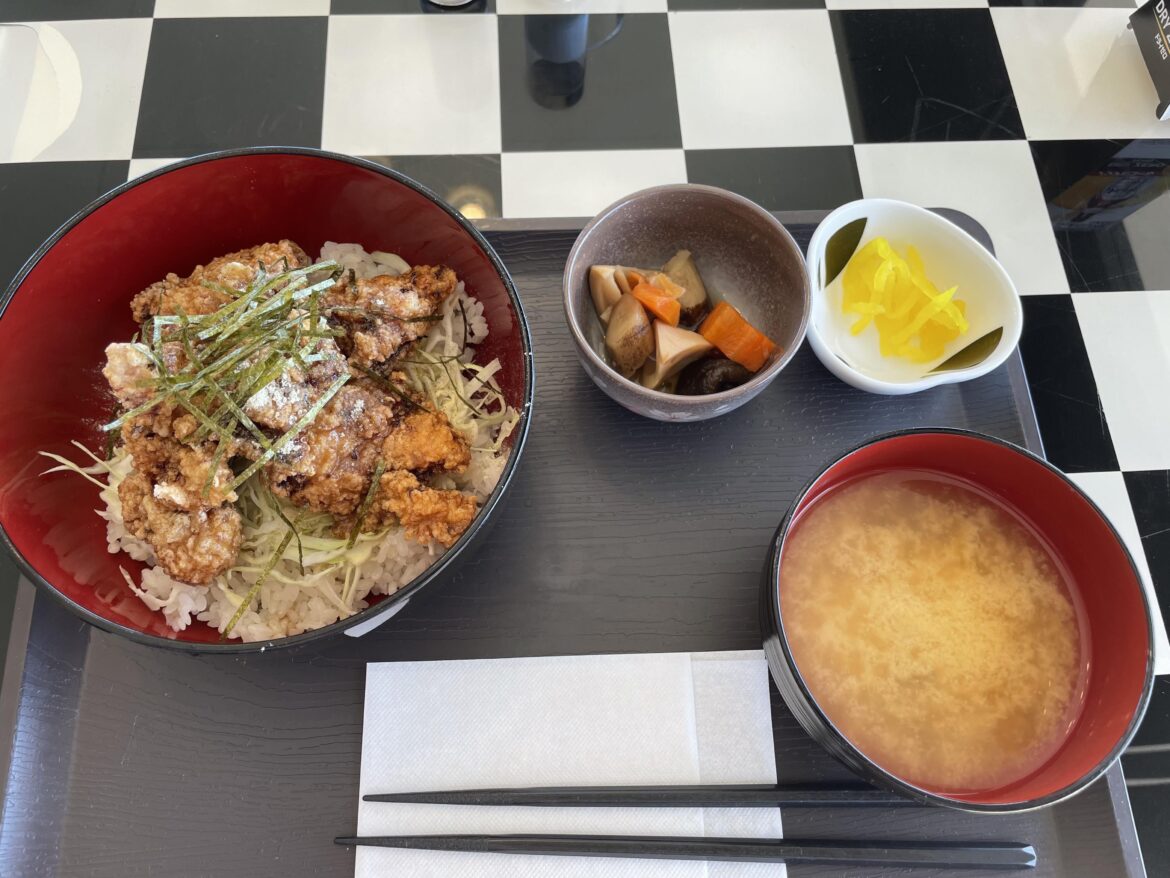 Karaage-don at the Sodegaura Forest Raceway restaurant