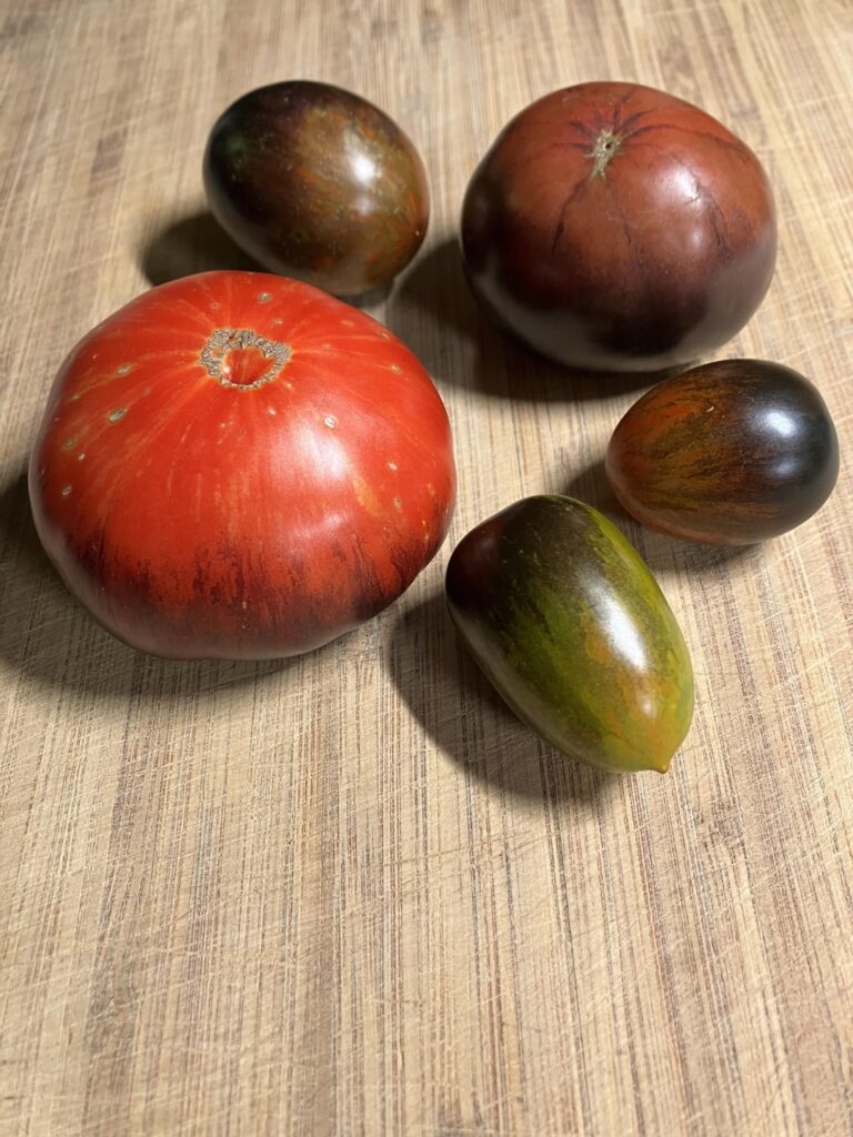 2024 antho variety comparisons