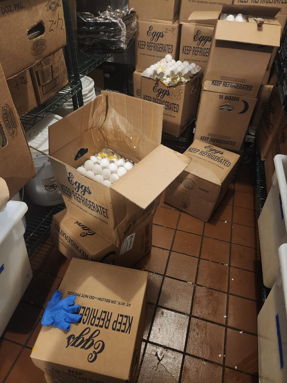 I'm having an eggsellent day...