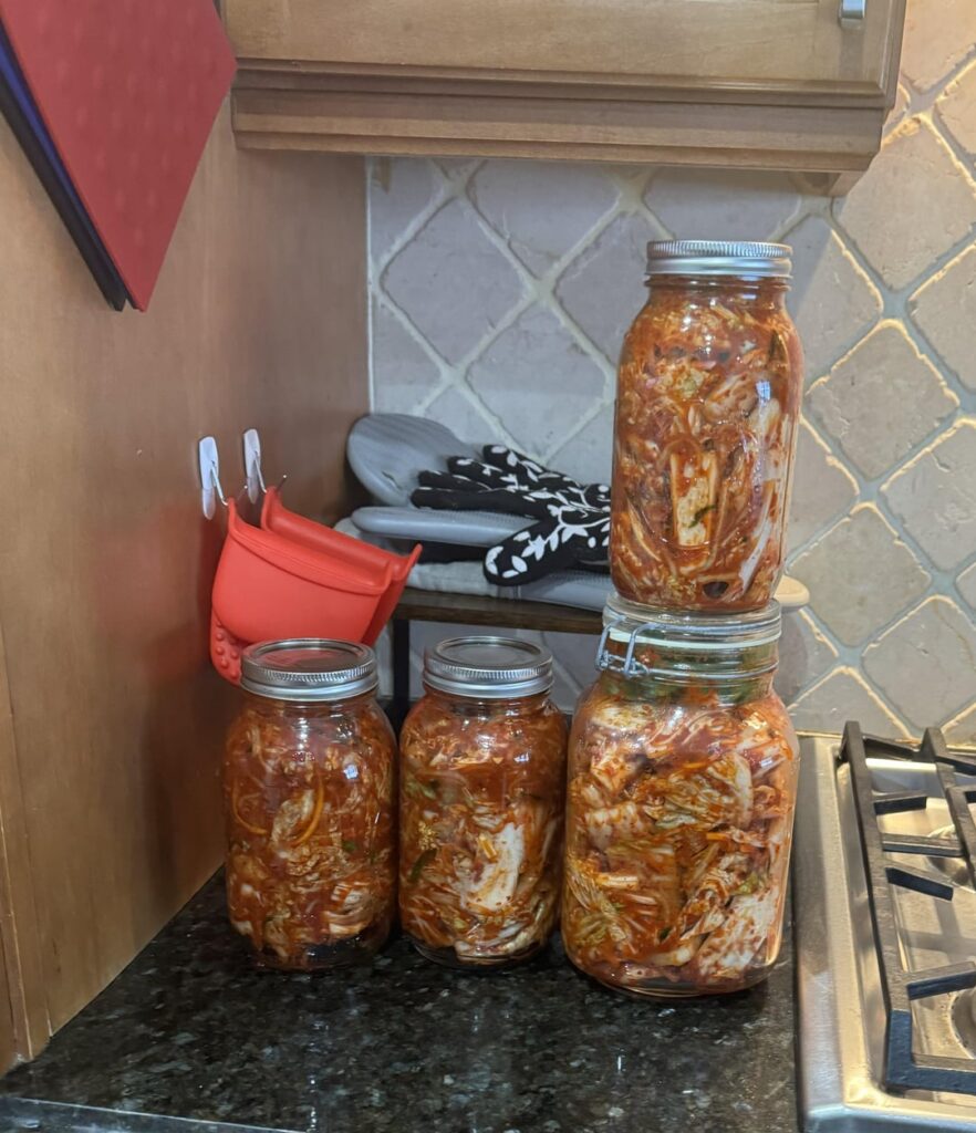 First try at homemade Kim chi and kimchi duruchigi