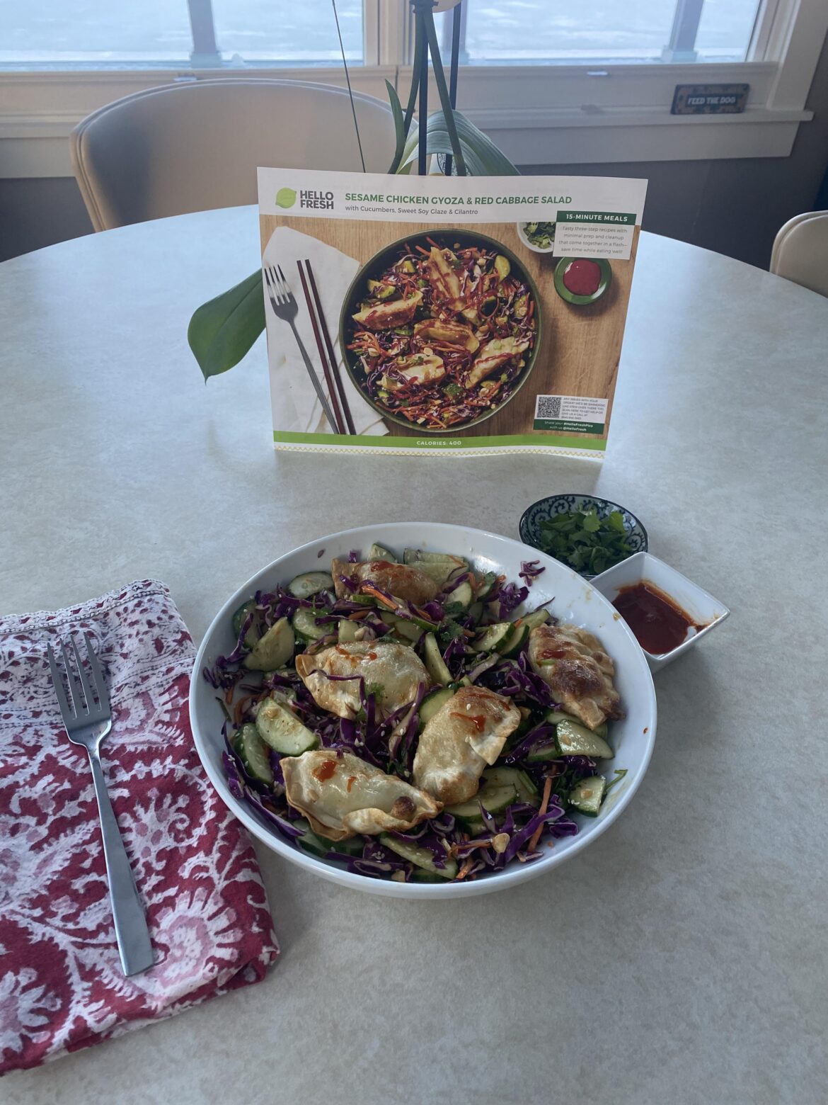 Chicken gyoza with red cabbage and cucumbers.