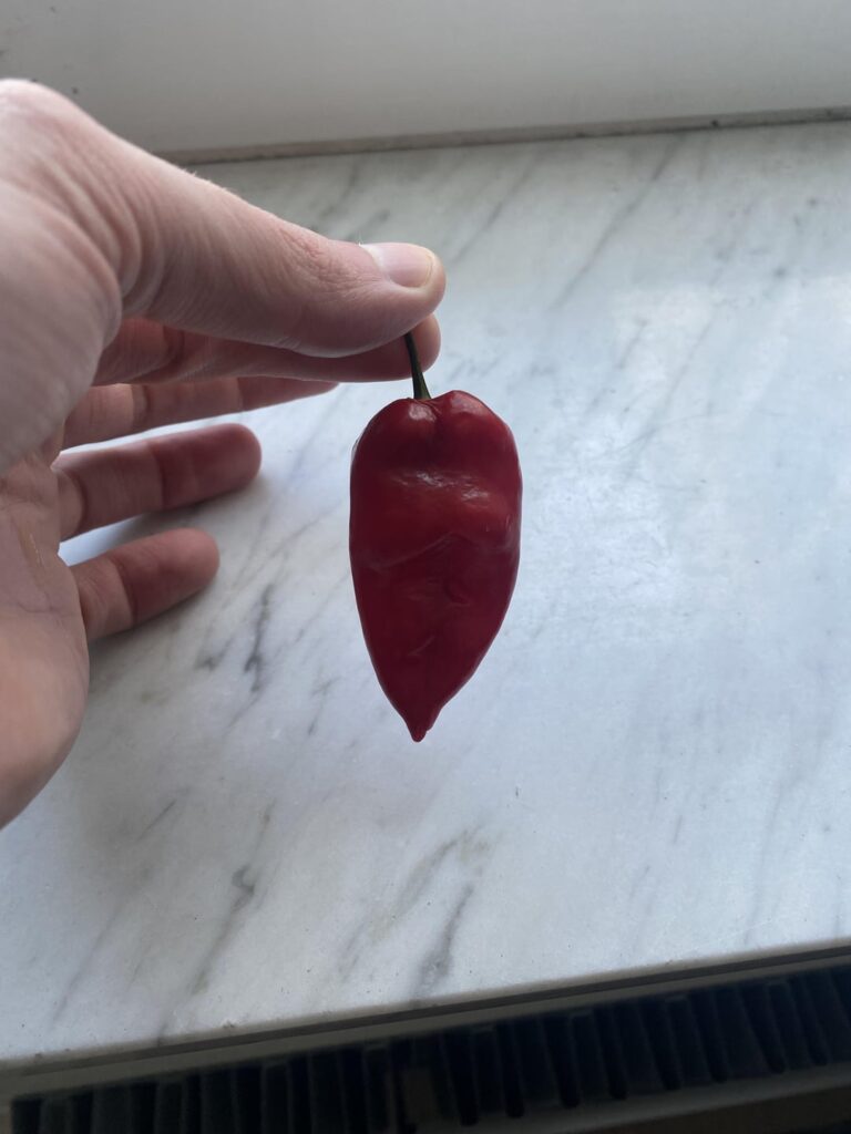 Name that pepper