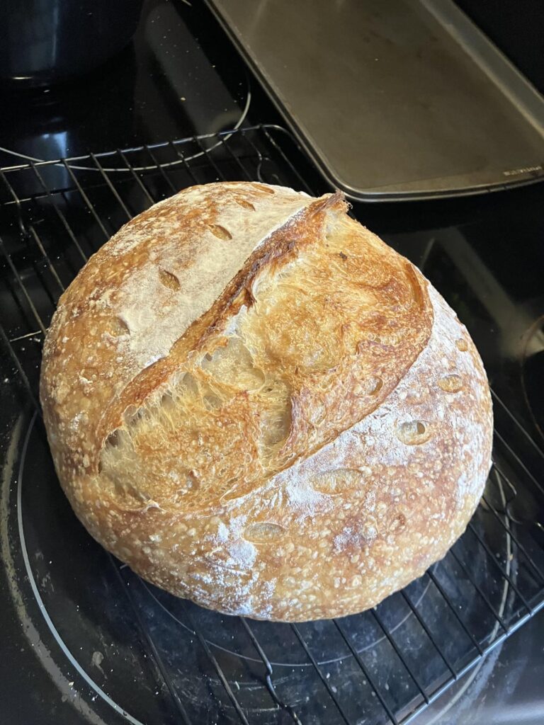 Pro: first time getting an ear. Con: crumb seems a bit gummy Pro: first time getting an ear. Con: crumb seems a bit gummy