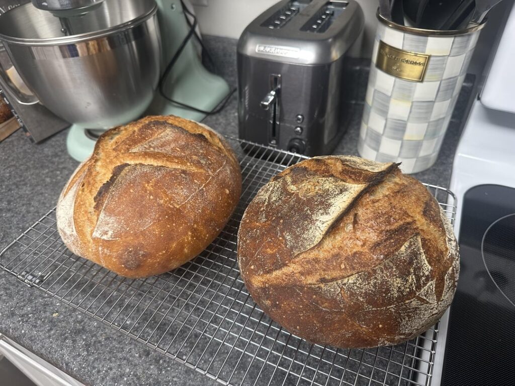 In honor of accidentally baking my starter in the oven last night, here are my final loaves