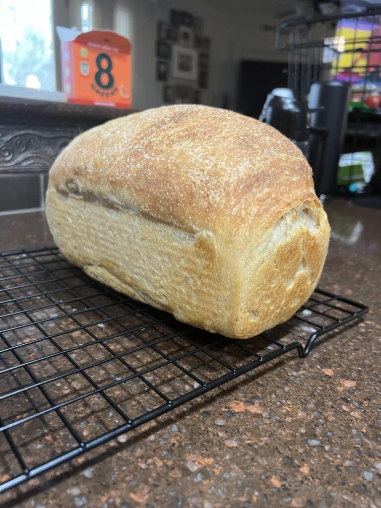 Been making sourdough bread loaves for my son to make his lunches with, best one so far.