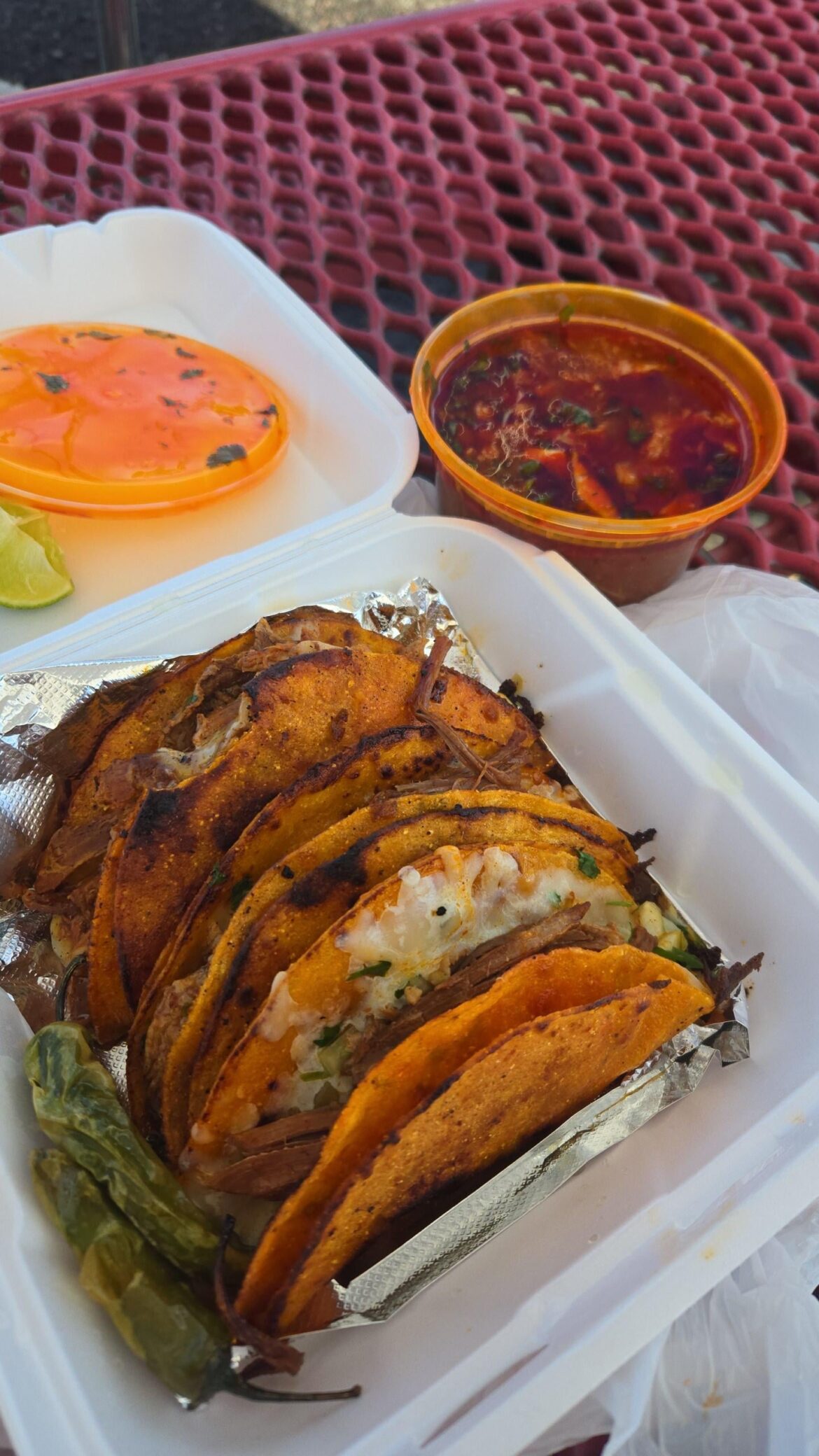 The BEST quesabirria