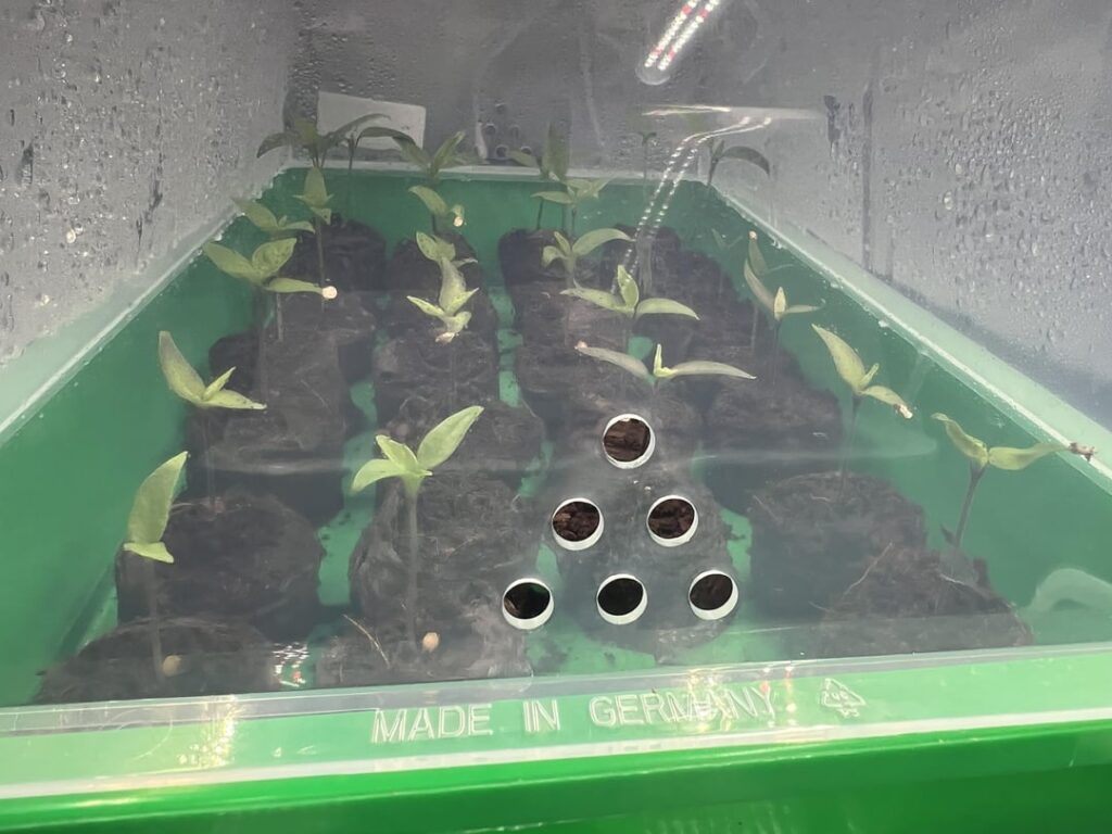 Waiting for warm outdoor temps