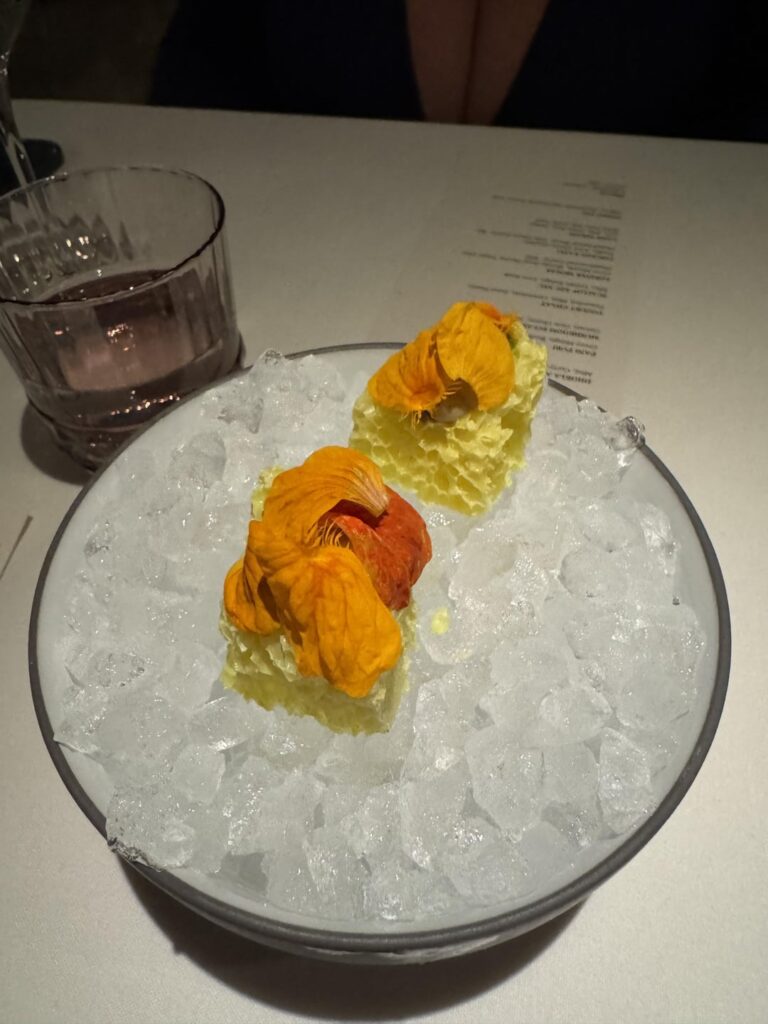 Indienne in Chicago.