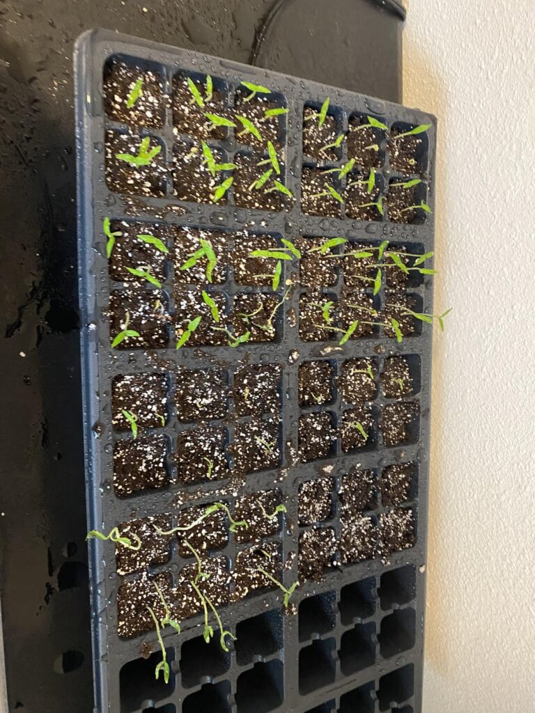 What went wrong? What went wrong?