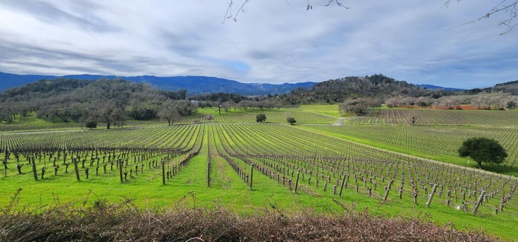 Napa trip report: Joseph Phelps, Chimney Rock, Faust. Amazing day! Napa trip report: Joseph Phelps, Chimney Rock, Faust. Amazing day!