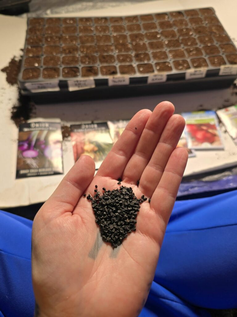 A hopeful ritual: A hopeful ritual: