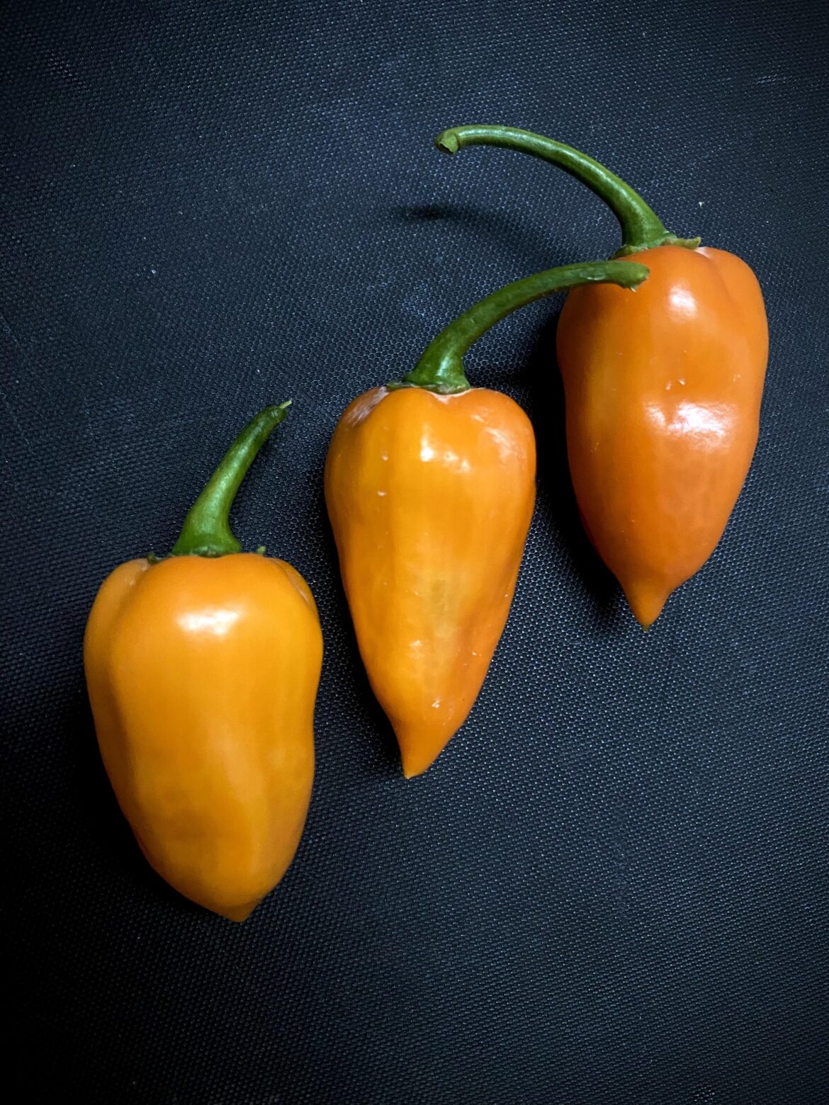 finally orange habanero