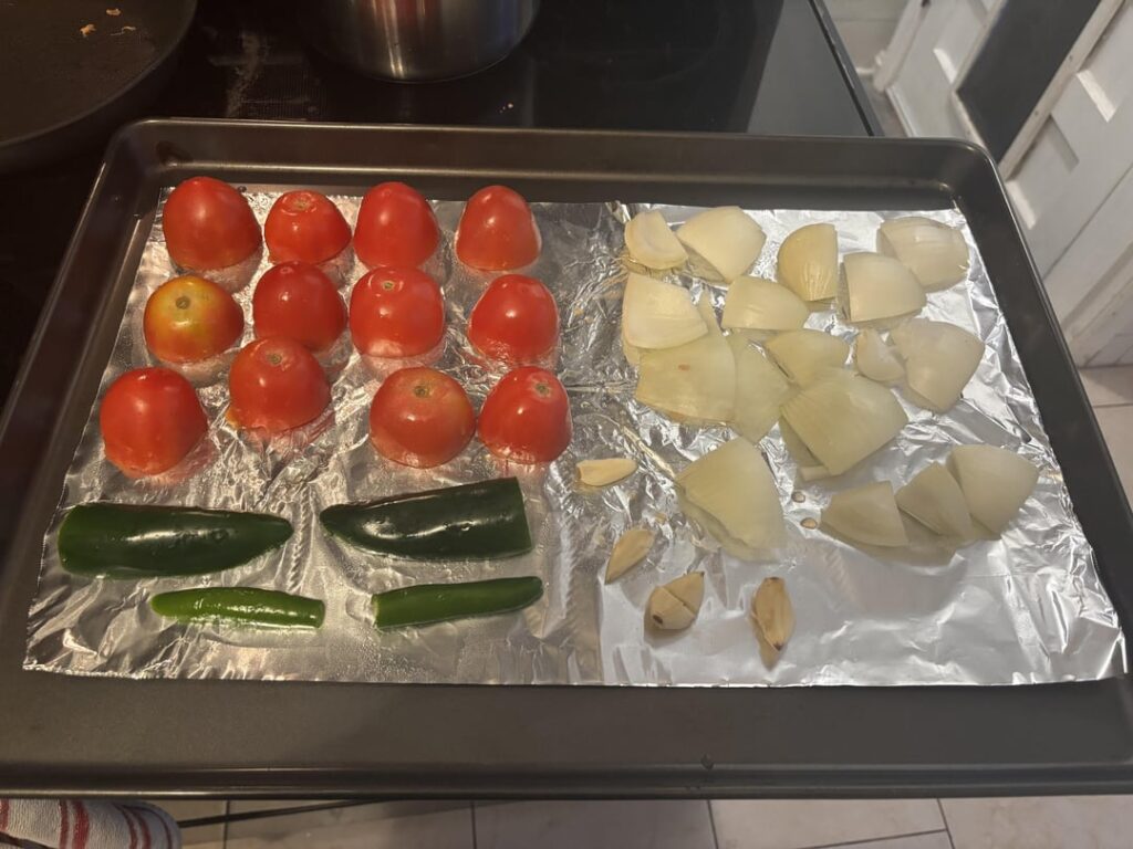 Behold, my first salsa!