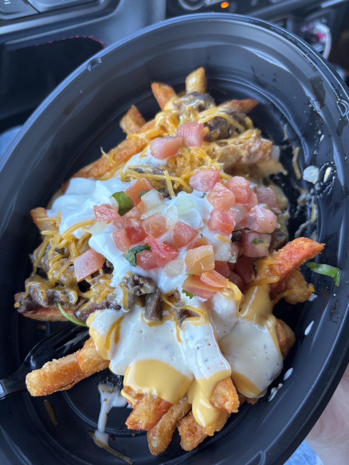 I’m a sucker for Taco Bell nacho fries 490 calories