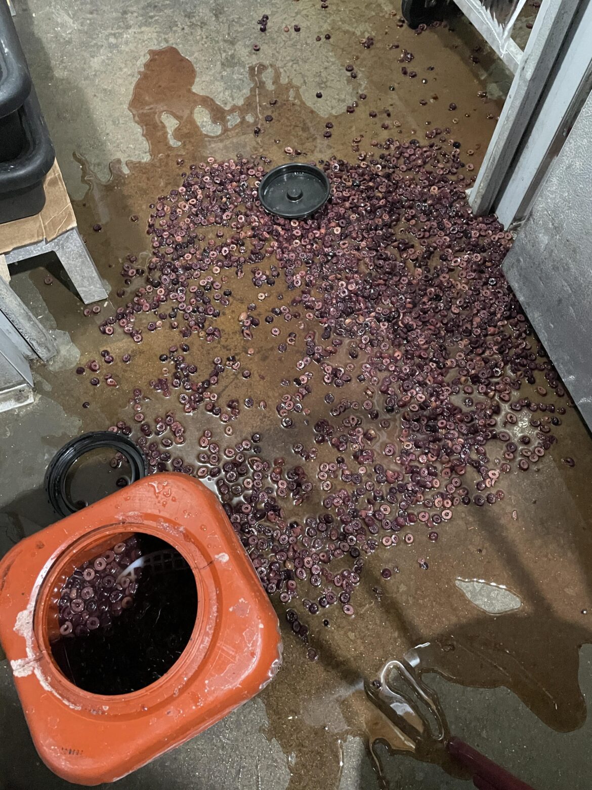 Good morning Krusty crew!