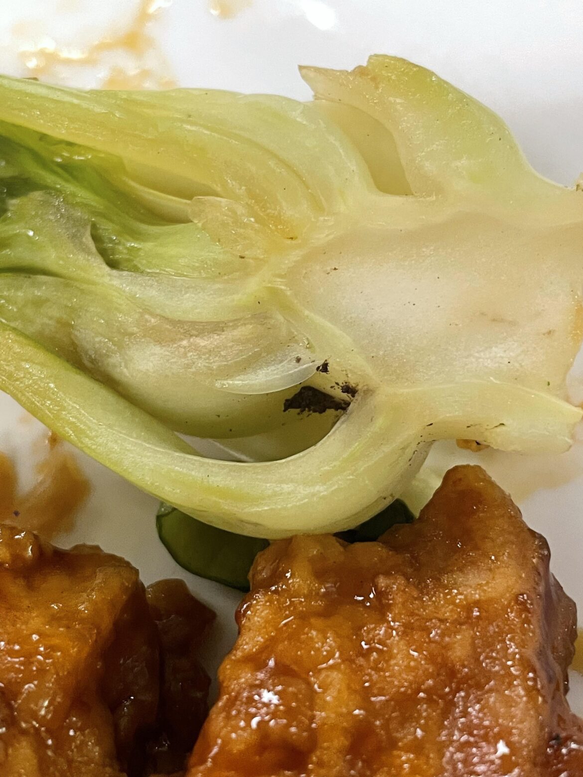 I was wondering why my dining hall’s bok choy was weirdly gritty…