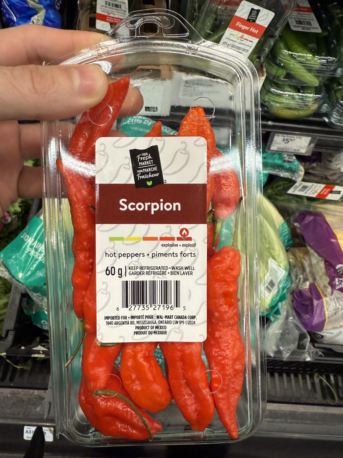 These don’t look like scorpions..