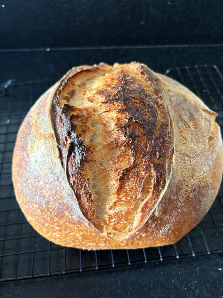 First loaf ever! First loaf ever!