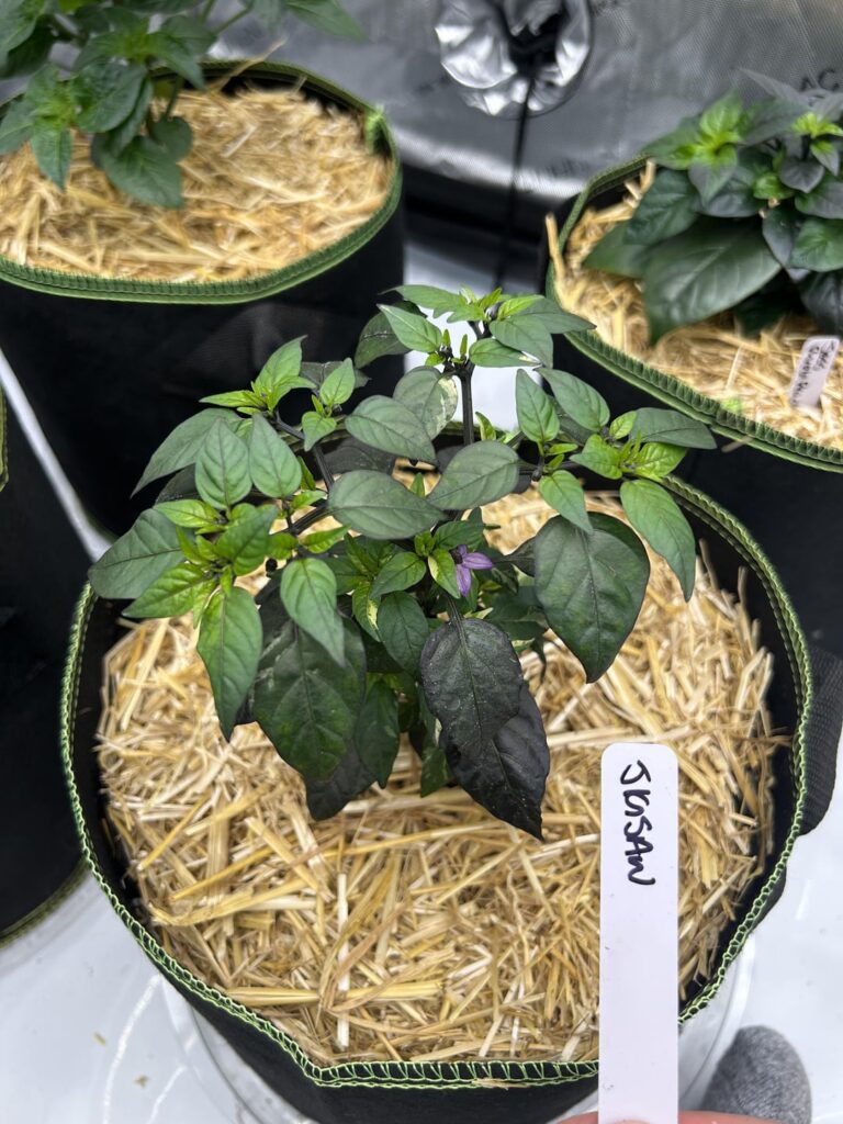 Photo dump Photo dump