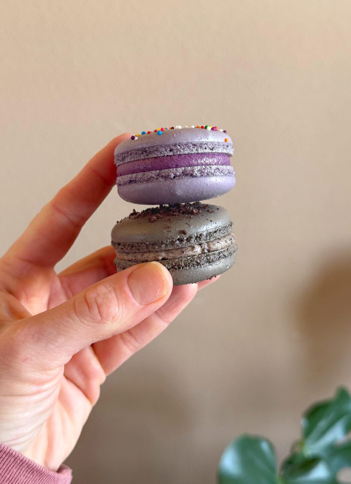 Thanks for the tips :)