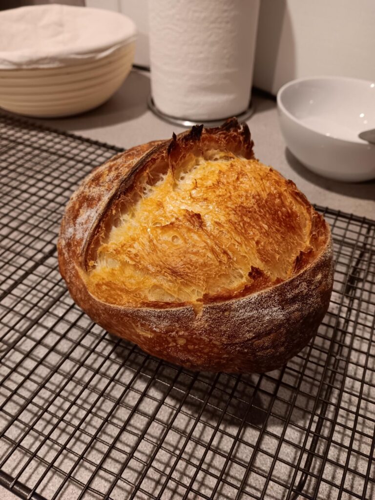 Overnight sourdough attempt