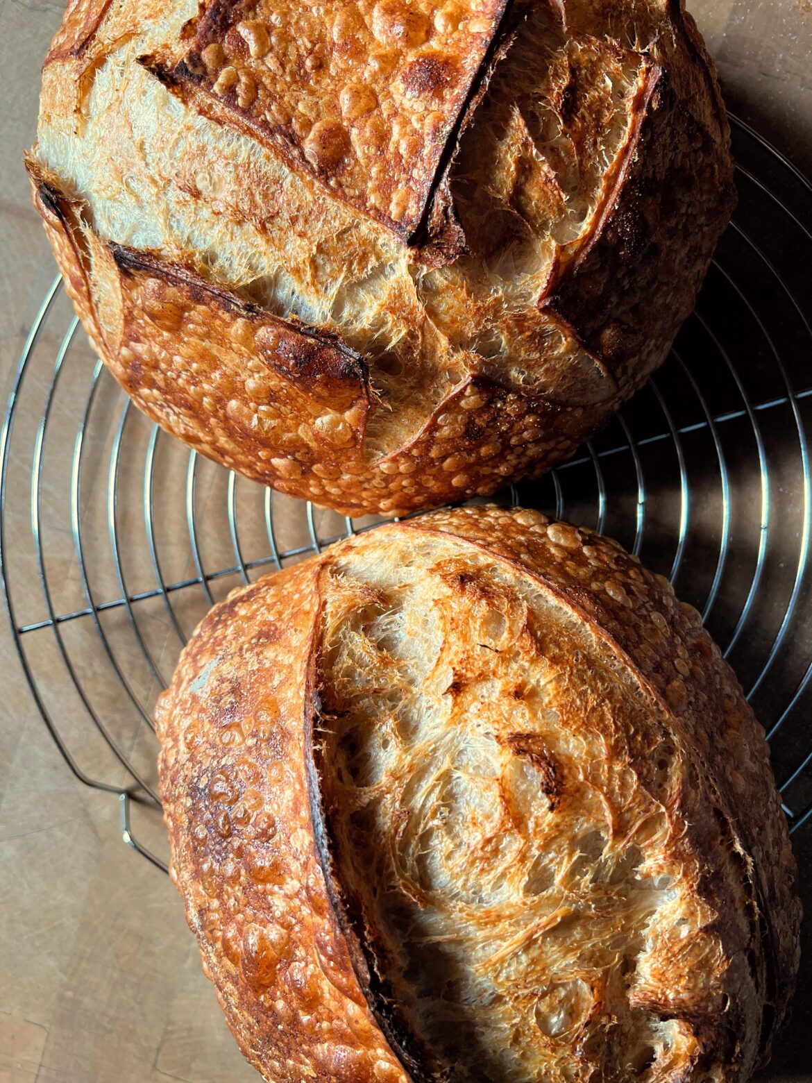 These beauts could be on a cookbook cover! 😍