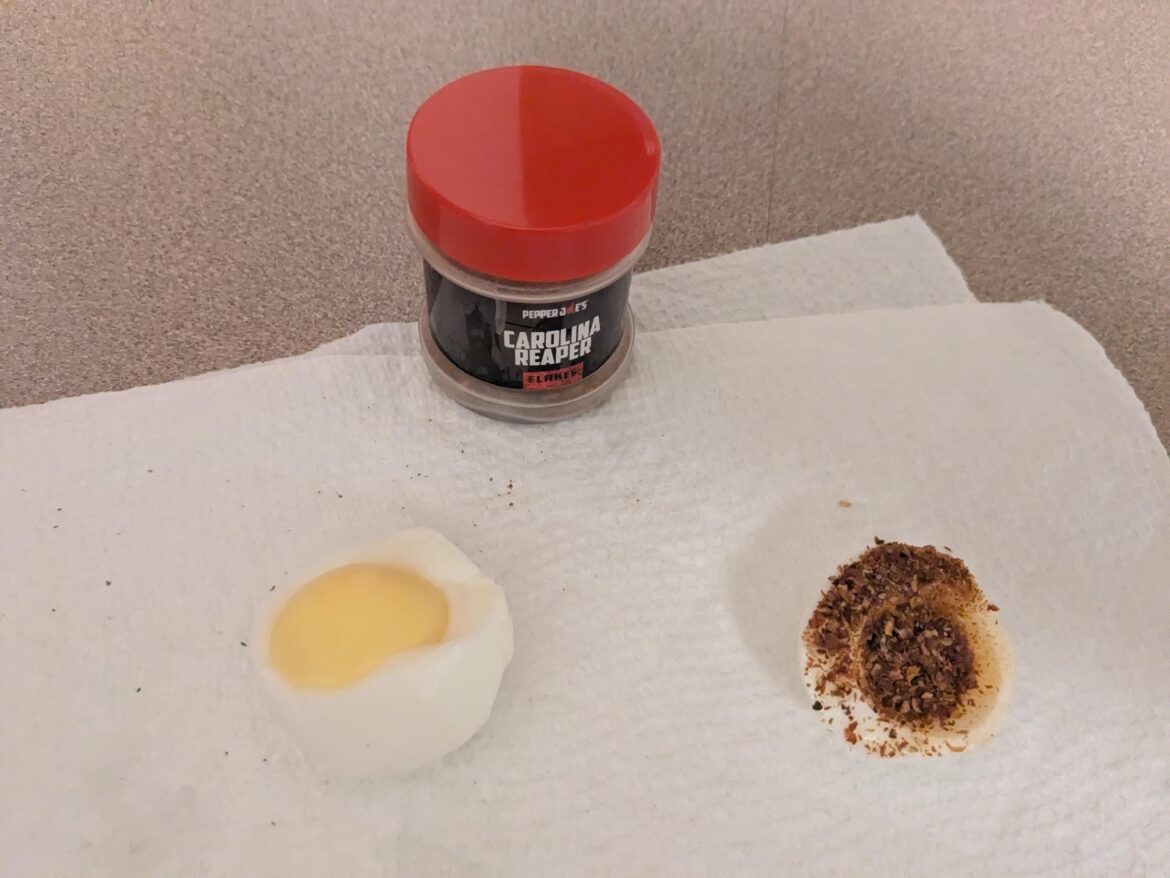 Yes waiter I would like some egg with my Carolina Reaper pepper. FYI I had a coughing attack while I ate this. If you do something like this put a little bit of water or something on it so it's more of a paste and it doesn't irritate your lungs with the particles as much.