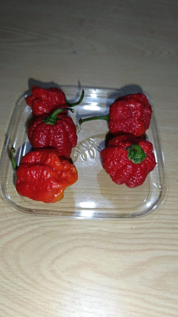 Help me identify please Help me identify please