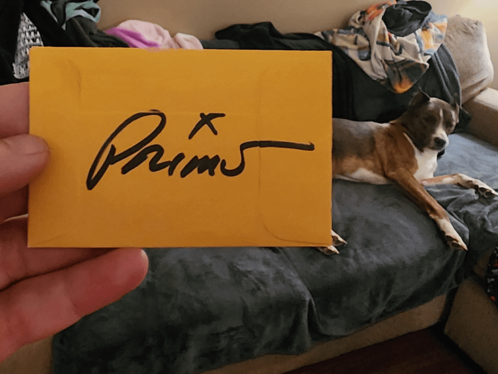 My seeds came in today!