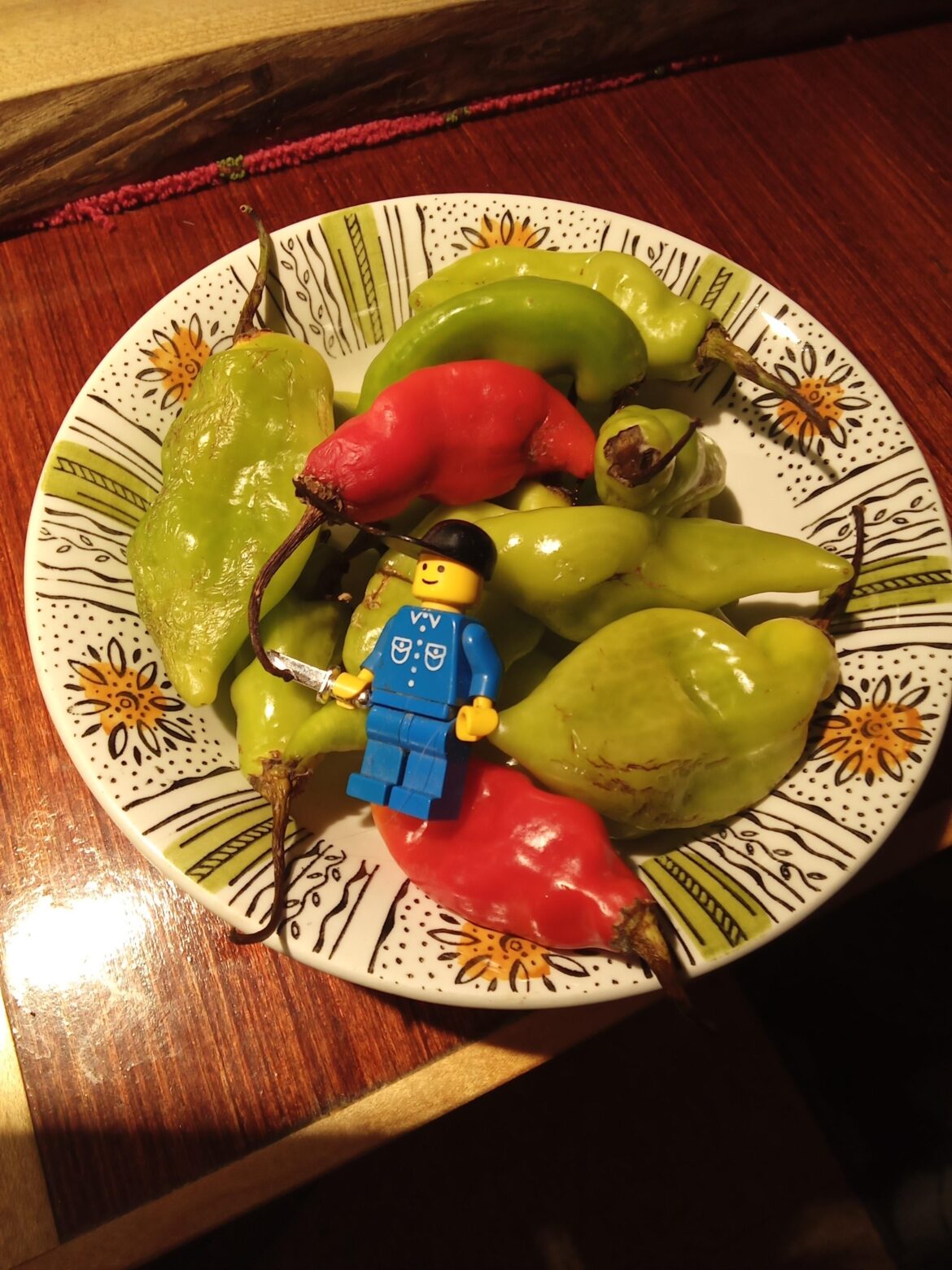 What are these called????