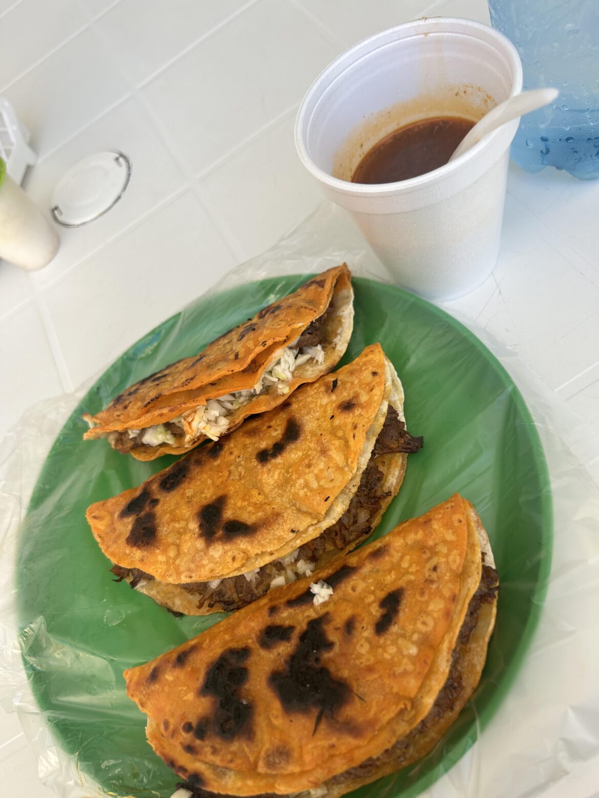 Birria en bucerias,Nayarit