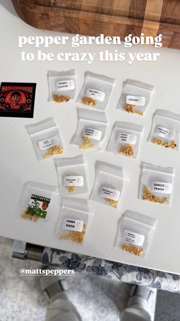 New seeds are in…can’t wait to get everything going again this year