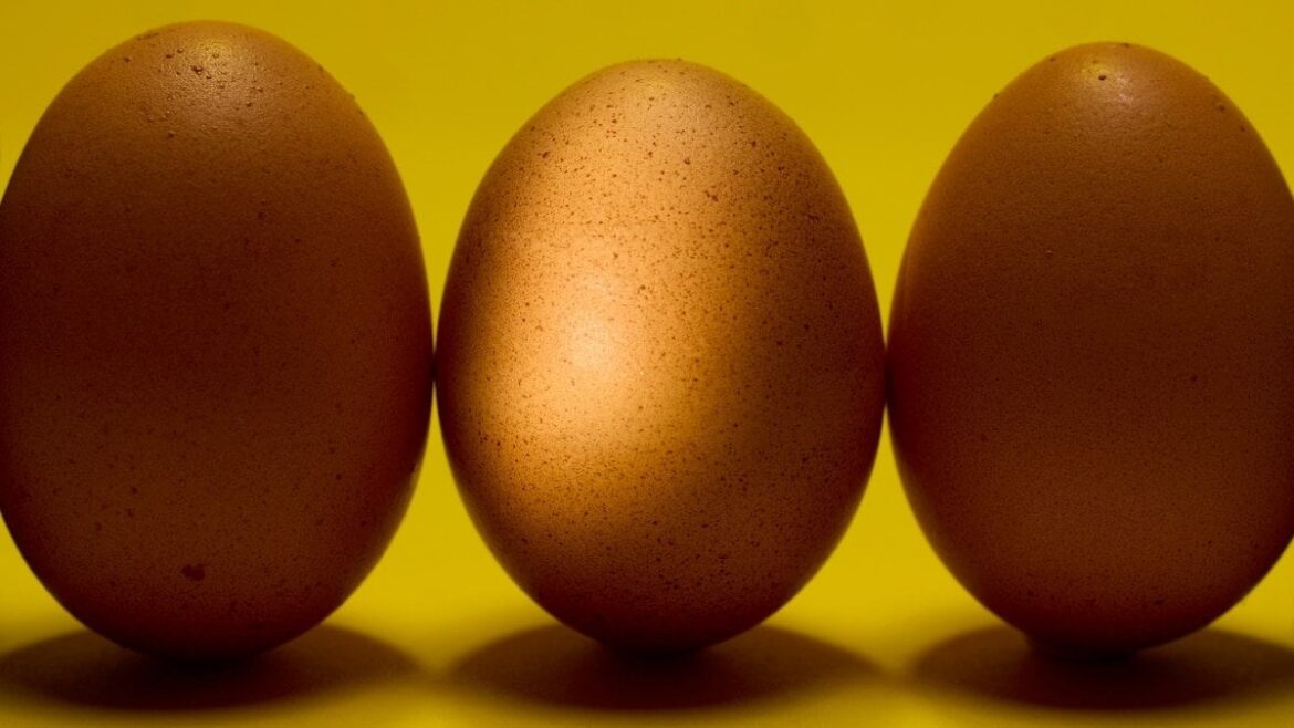 I Love Food Science!