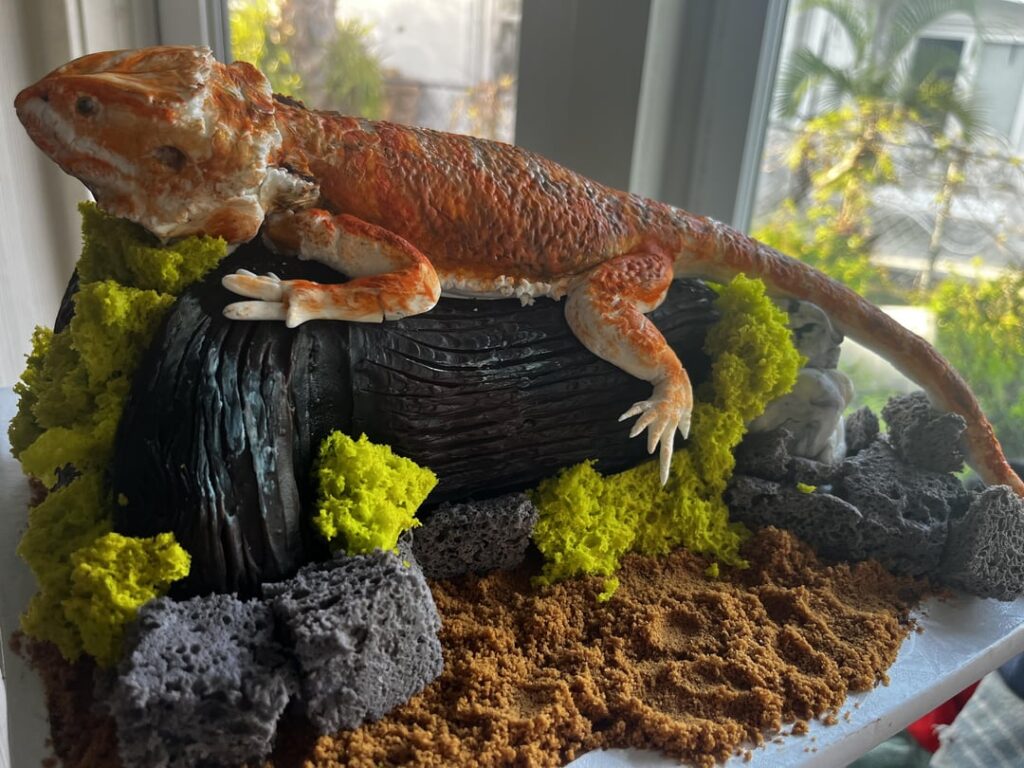 I made for my Boyfriend’s birthday a bearded dragon Cake   ❤️ our little girl Sunset
