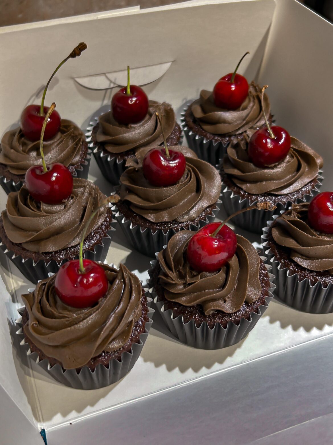 Chocolate Cupcakes