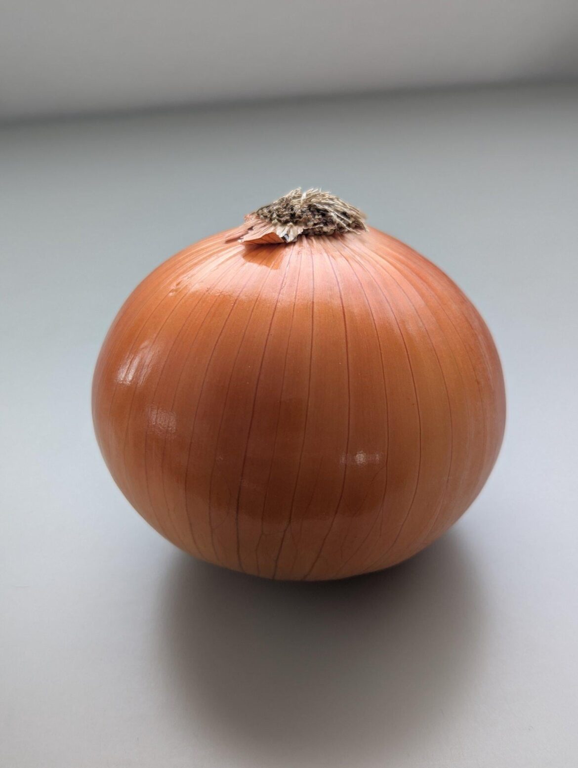 Purchased the most beautiful onion today