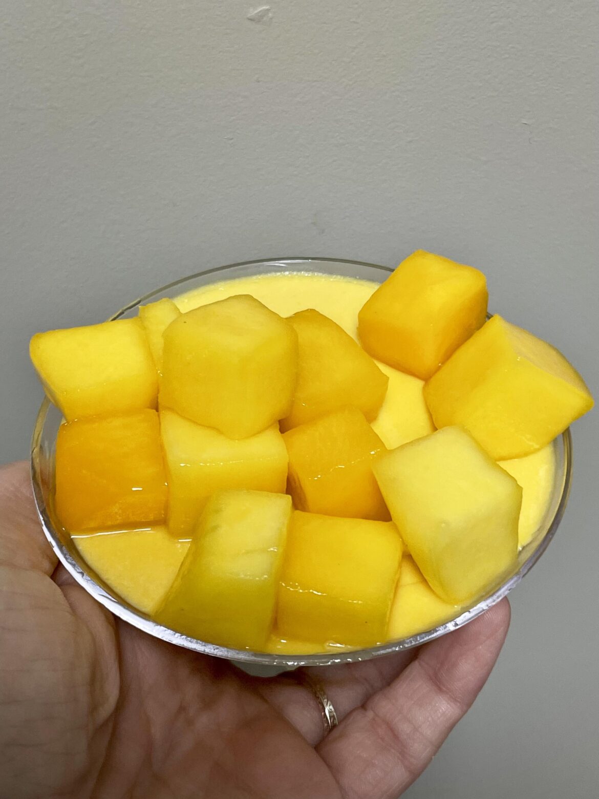 mango panna cotta