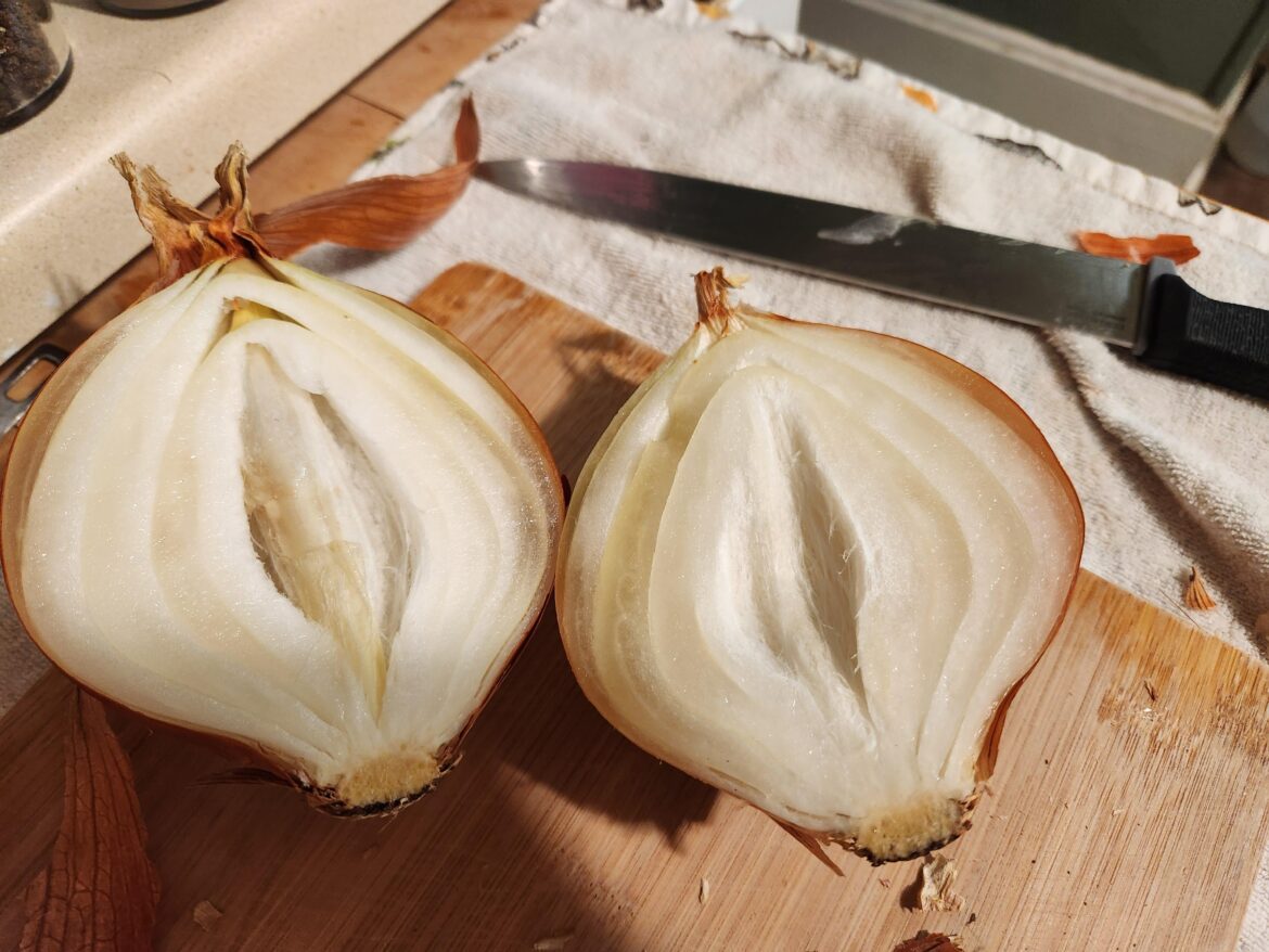 Is this onion bad?