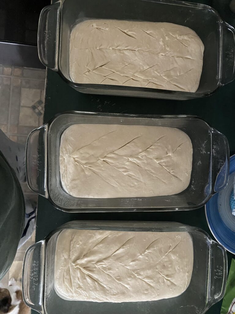 Learning sourdough, but in regular loaf style, not a fan of round bread