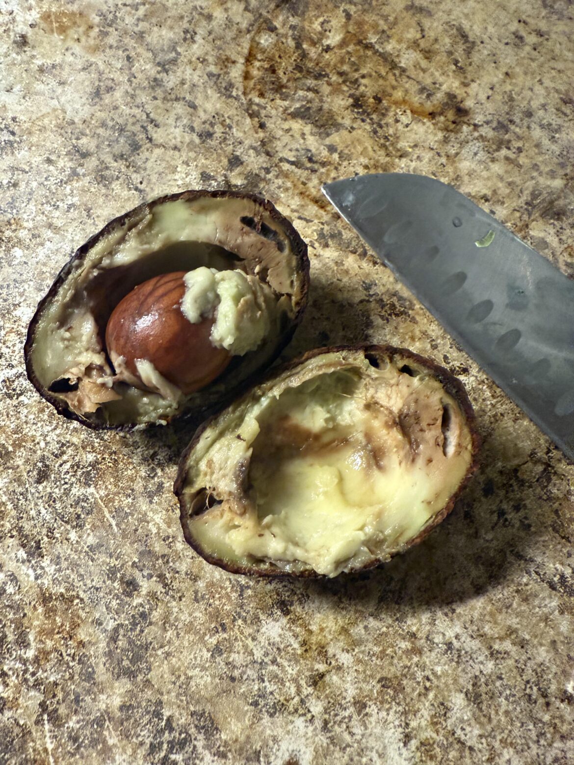 Are these safe to eat?