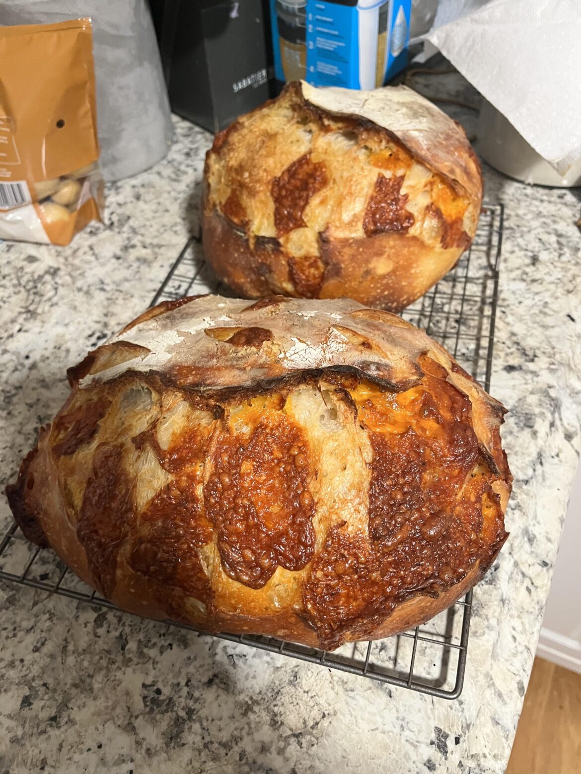 Do these look appetizing to you? Cheddar & herb loaves.