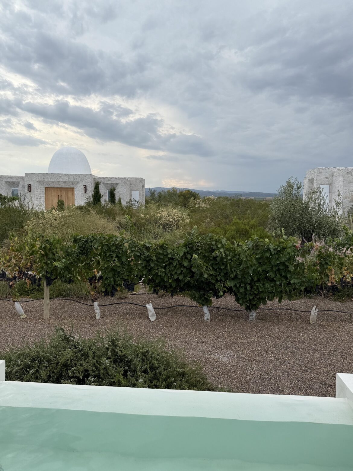 Mendoza is a paradise, especially on a budget Mendoza is a paradise, especially on a budget