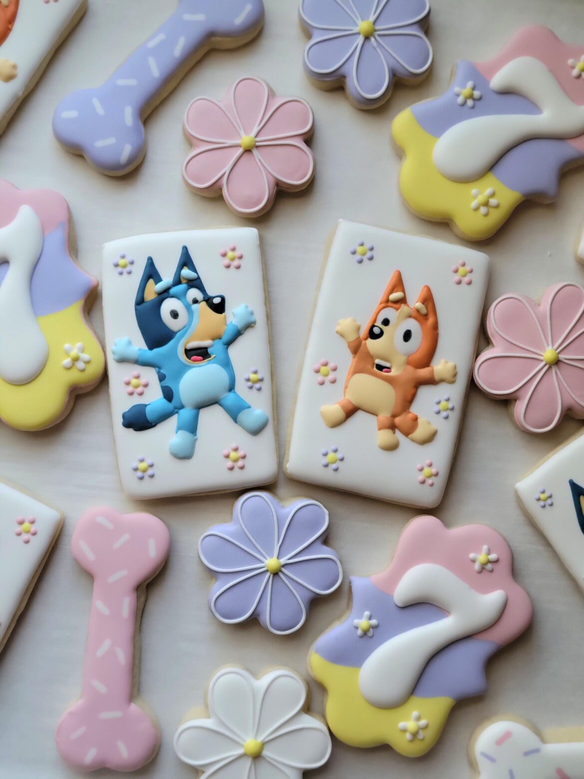 Bluey cookies for my daughter's birthday!