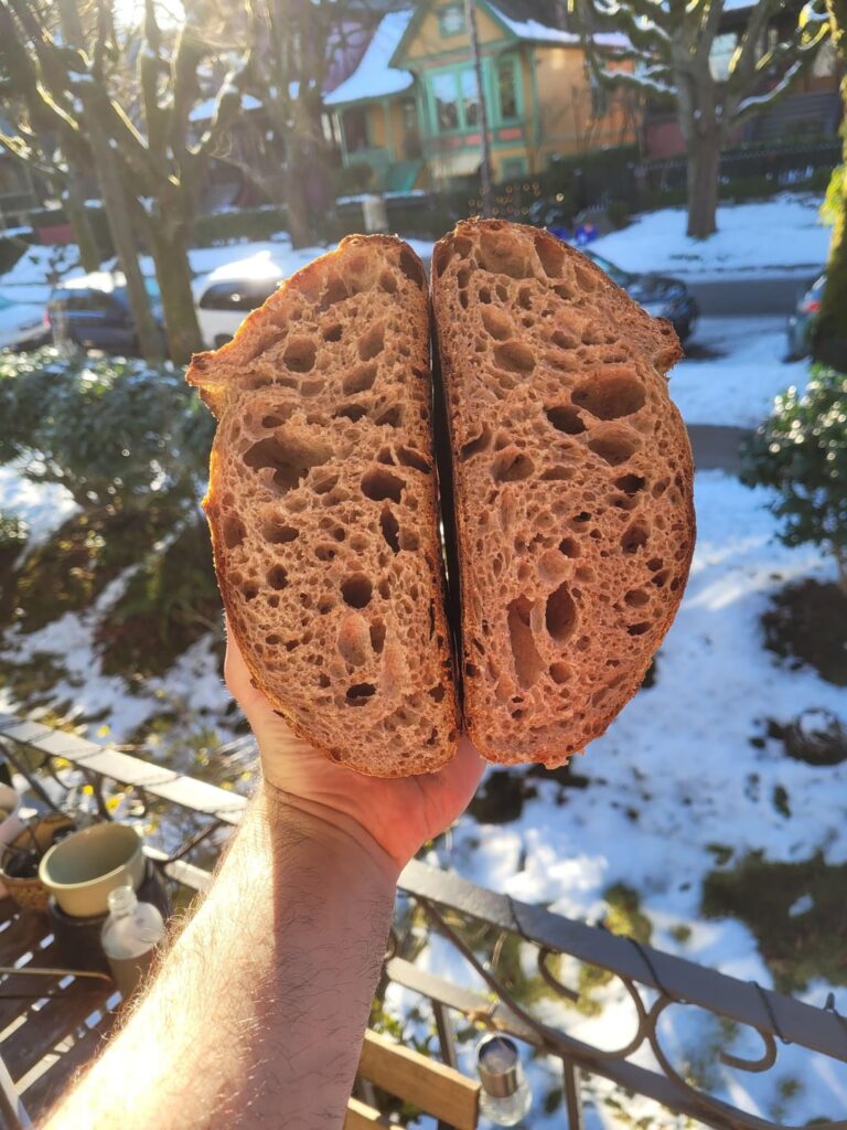 50% Whole Wheat loaf, and a few things I have learned about opening up the crumb with higher whole grain percentages