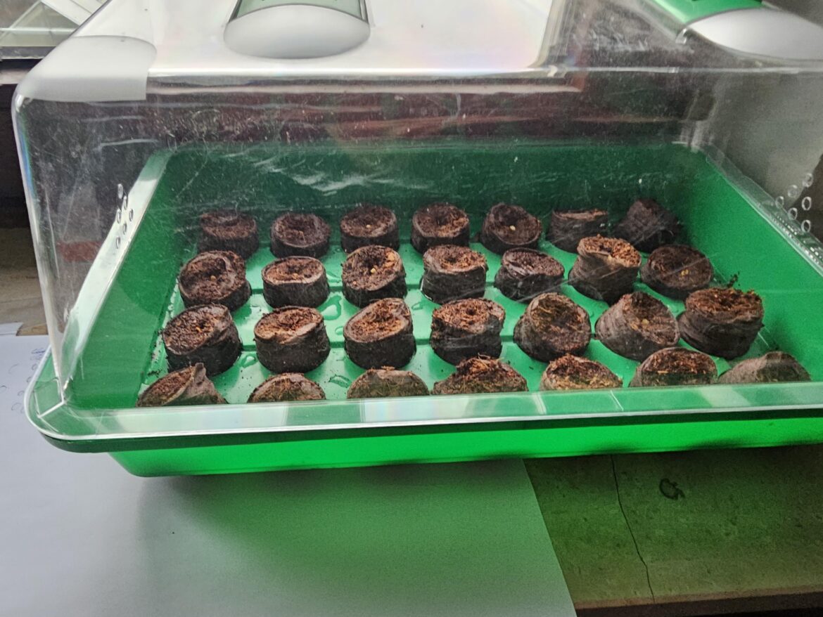 So it begins (again)