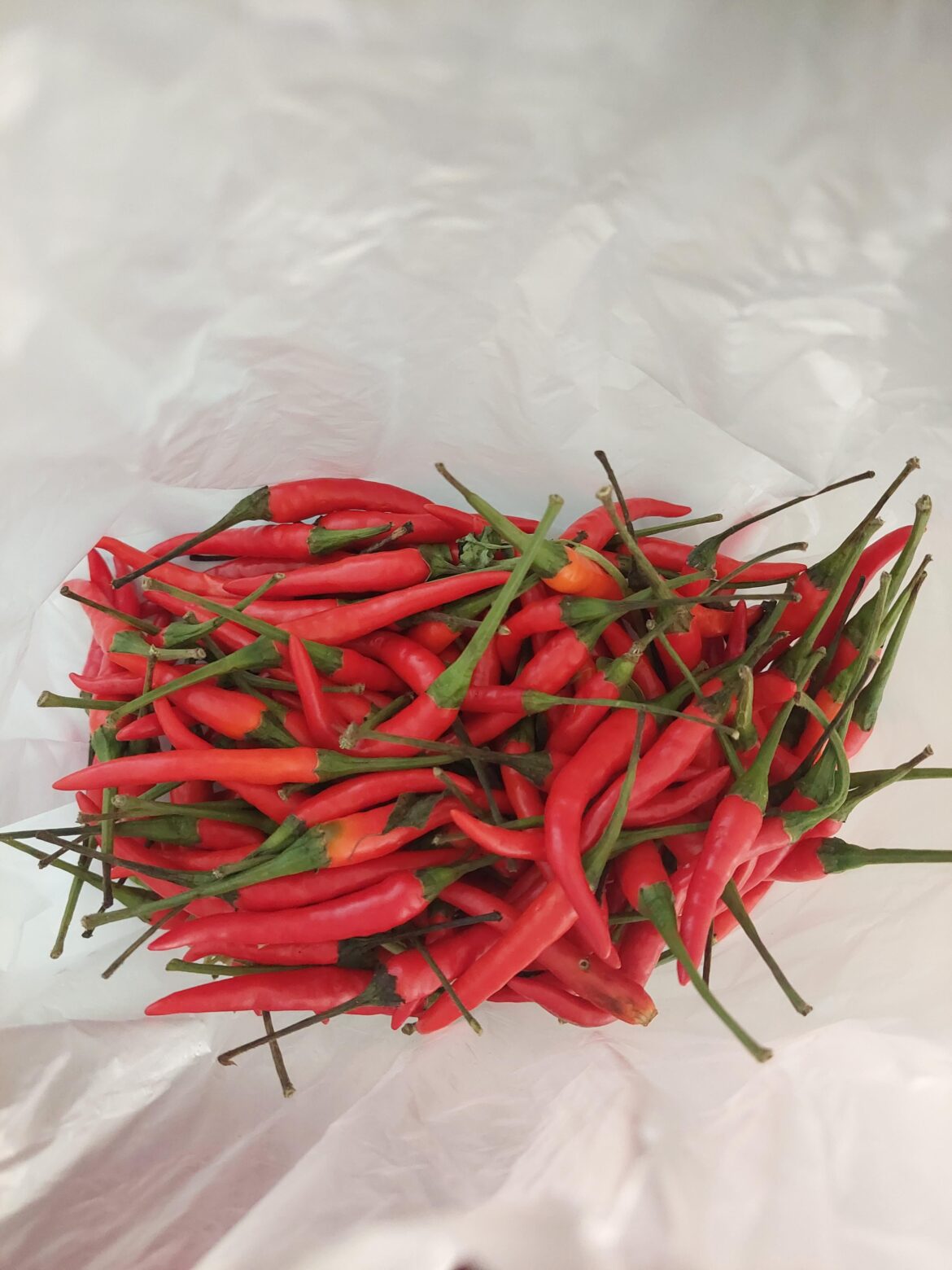 What to make with birds eye chilis?